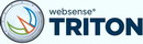 Websense TRITON